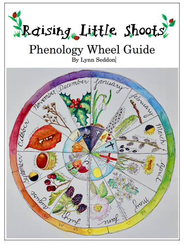 Phenology Wheel